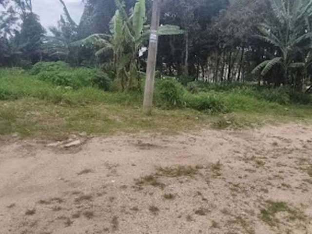 Terreno à venda, 350 m² por R$ 370.000,00 - Bombas - Bombinhas/SC