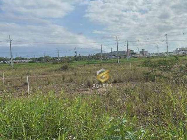 Terreno à venda em tijucas-sc