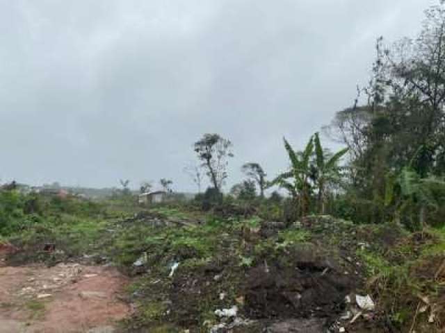 Dois Terrenos a Venda.