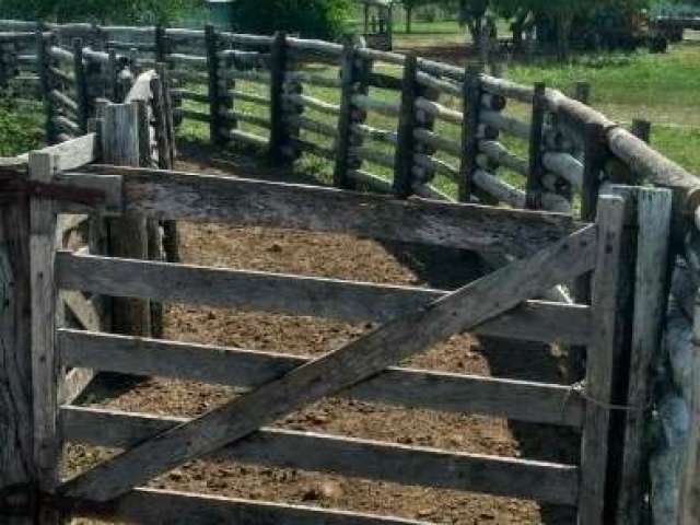 Fazenda com 15 salas à venda na Rua General Rondon, 638, Centro, Corumbá por R$ 60.000.000