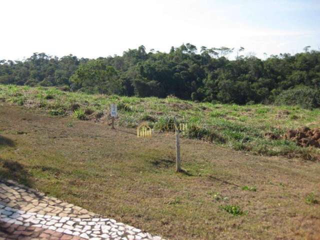 Terreno à venda, 1255 m² por R$ 450.000,00 - Alto da Ponte - São José dos Campos/SP