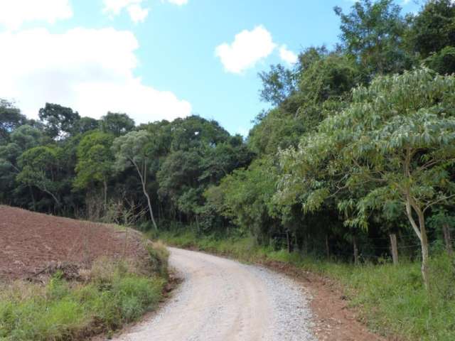 Terreno à Venda no Roteiro do Vinho