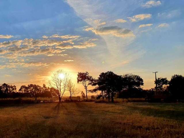 Chácara / sítio com 3 quartos à venda na Estrada Doutor Nelson Barbieri, Recreio Campestre Idanorma, Araraquara, 400 m2 por R$ 1.700.000