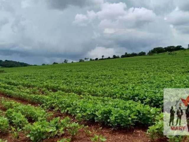 Fazenda à venda no bairro Centro - Itamogi/MG