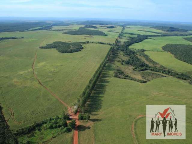 Fazenda à venda no bairro Centro - Tocantins/MG