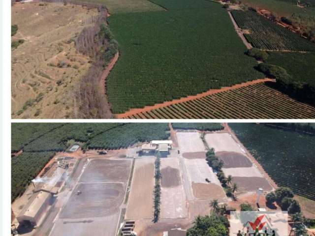 Fazenda à venda no bairro Centro - Piumhi/MG