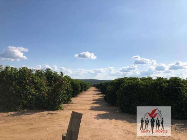 Fazenda à venda no bairro Centro - Pará de Minas/MG