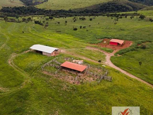 Fazenda à venda no bairro Centro - Monte Sião/MG