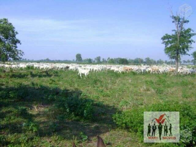 Fazenda à venda no bairro Zona Rural - Poconé/MT