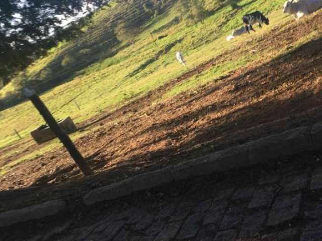 Fazenda à venda no bairro Centro - Bragança Paulista/SP