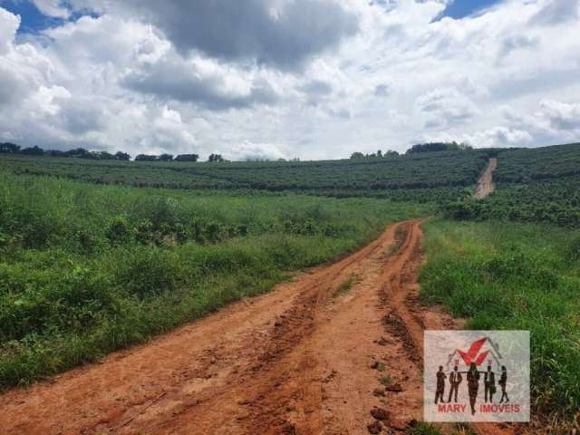 Fazenda à venda no bairro Centro - Caxambu/MG