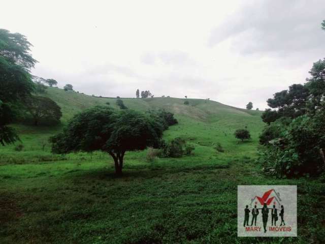 Fazenda à venda no bairro Centro - Soledade de Minas/MG