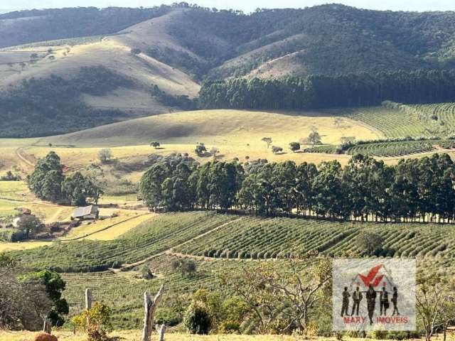 Fazenda à venda no bairro Centro - Caxambu/MG