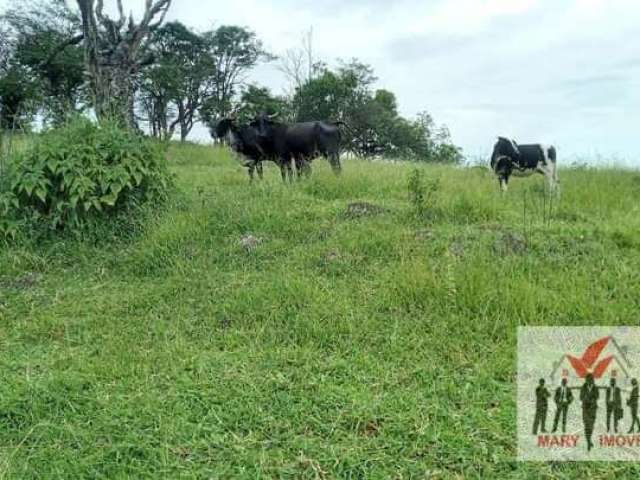 Área à venda no bairro Centro - Botelhos/MG