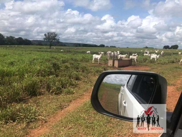 Fazenda à venda no bairro Setor Central - Araguaína/TO