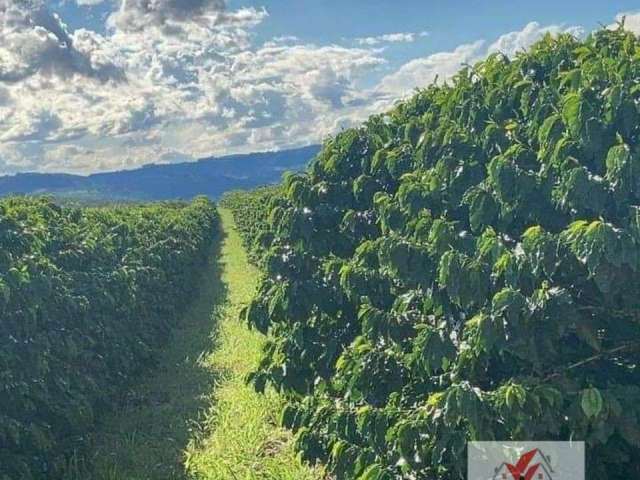 Fazenda à venda no bairro Centro - Claraval/MG