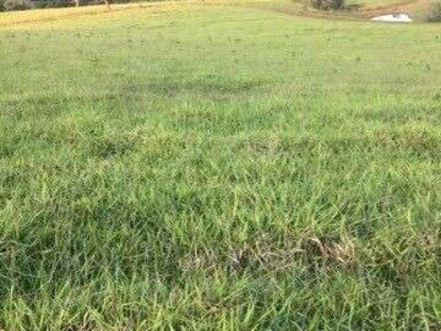 Fazenda à venda no bairro Vila Ramos - Pouso Alegre/MG