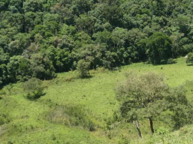 Sítio à venda no bairro Centro - Caldas/MG