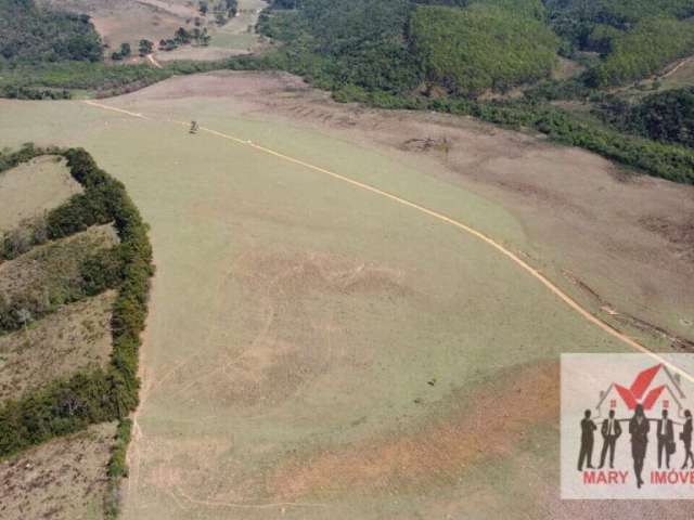 Fazenda à venda no bairro Centro - Antônio Carlos/MG