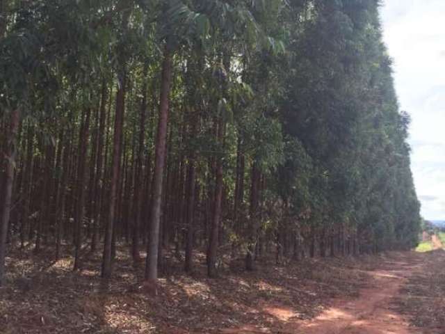 Fazenda à venda no bairro Centro - Bonito de Minas/MG