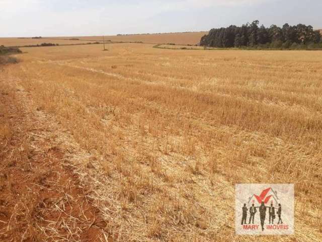 Fazenda à venda no bairro Centro - Sacramento/MG