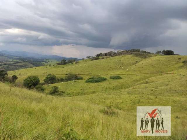 Fazenda à venda no bairro Centro - Caxambu/MG