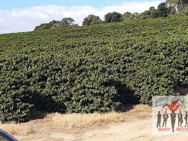 Fazenda à venda no bairro Centro - São Gonçalo do Sapucaí/MG