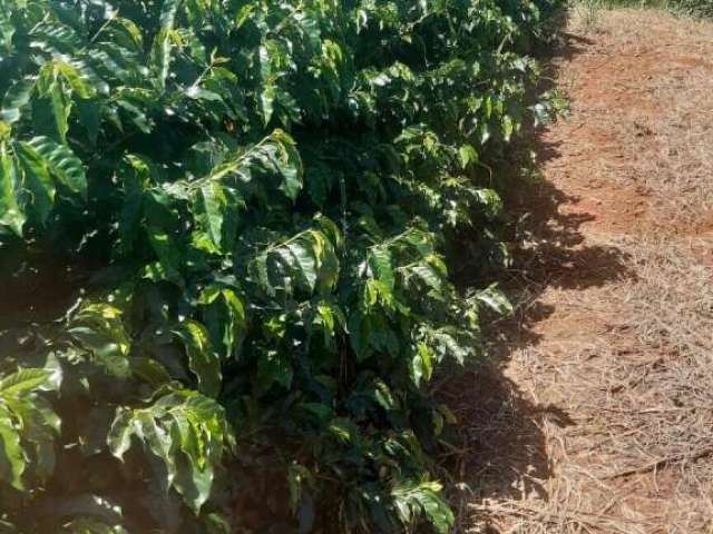 Fazenda à venda em Caconde/SP