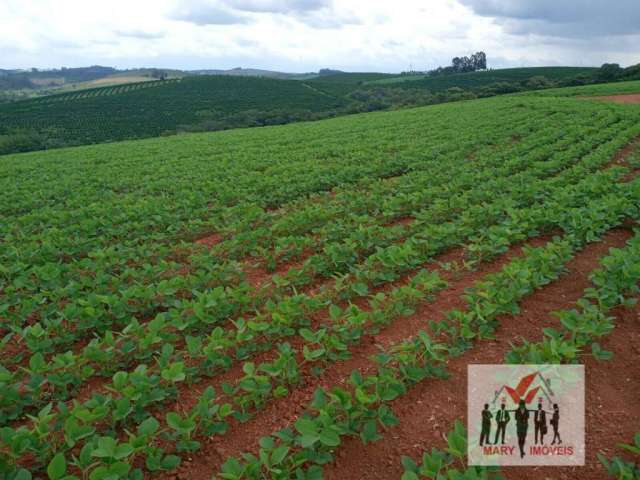 Fazenda à venda em Cruzília/MG