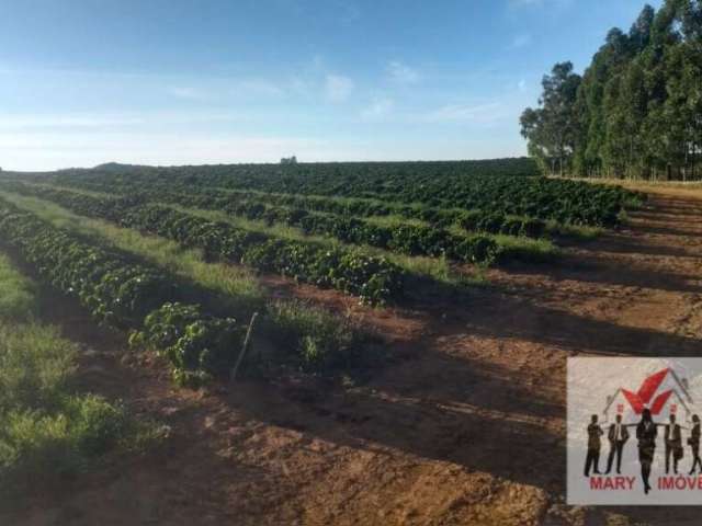 Fazenda à venda em Araxá/MG