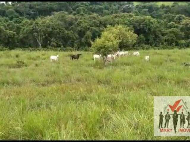 Fazenda à venda em Campos dos Goytacazes/RJ