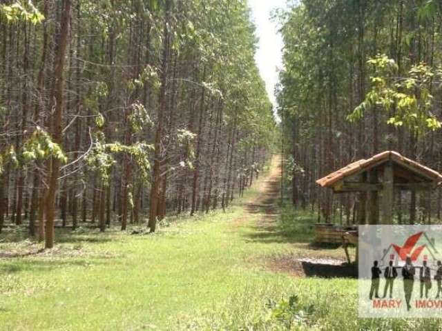 Fazenda à venda no bairro Área Rural de Unaí - Unaí/MG