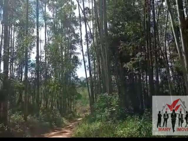 Fazenda à venda no bairro Centro - Taubaté/SP