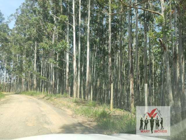 Fazenda à venda no bairro Centro - Lavrinhas/SP