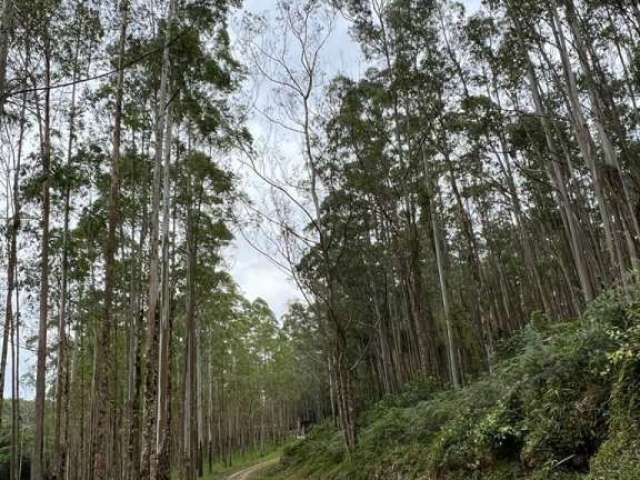 Fazenda à venda no bairro Centro - Sorocaba/SP