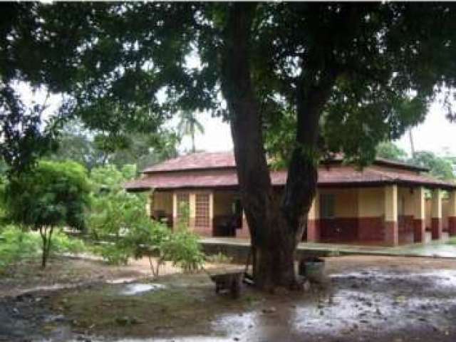 Fazenda à venda no bairro Centro - Alto Araguaia/MT