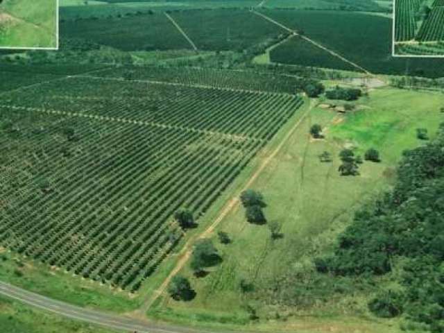 Fazenda à venda no bairro Doutor Paulo Prata - Barretos/SP