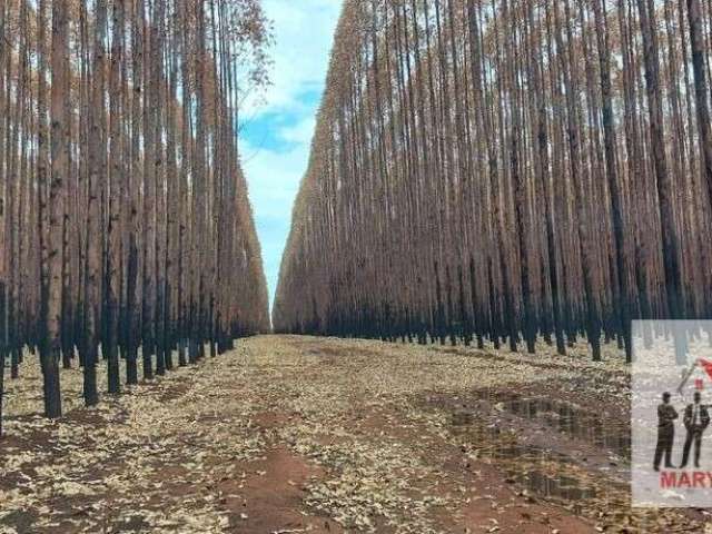 Fazenda à venda em Várzea da Palma/MG