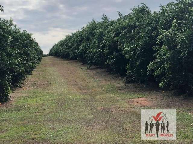 Fazenda à venda no bairro Centro - Marília/SP