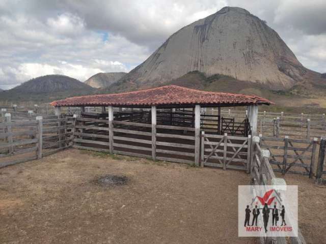 Fazenda à venda em Pedra Azul/MG