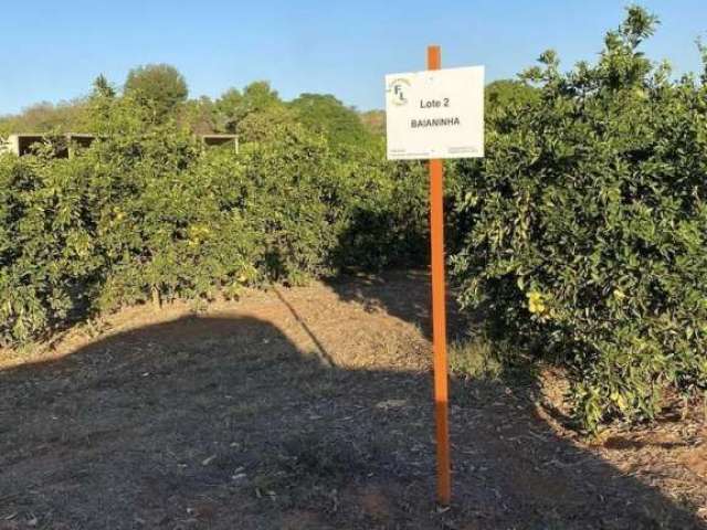 Fazenda à venda em Januária/MG