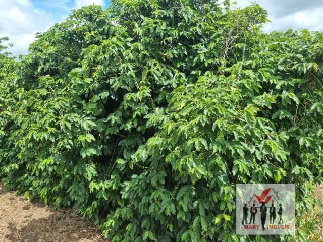 Fazenda à venda no bairro Pouso Alegre - Pouso Alegre/MG