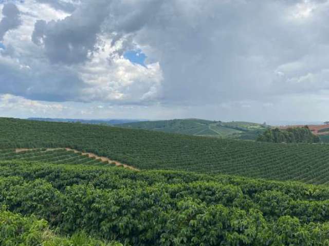 Fazenda à venda no bairro Centro - Guaxupé/MG