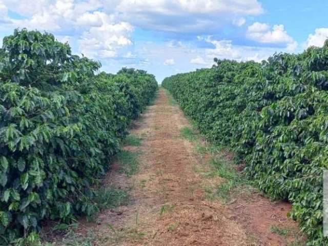 Fazenda à venda no bairro Centro - Botelhos/MG