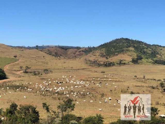 Fazenda à venda no bairro Centro - Caconde/SP