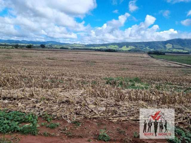 Fazenda à venda em Pouso Alegre/MG