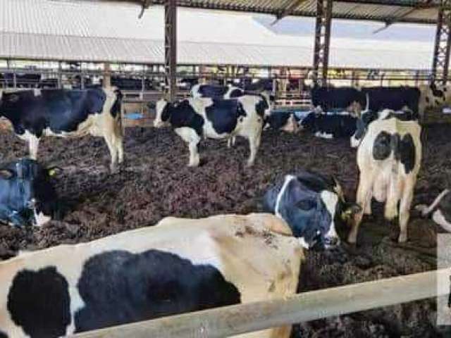 Fazenda à venda em Heliodora/MG