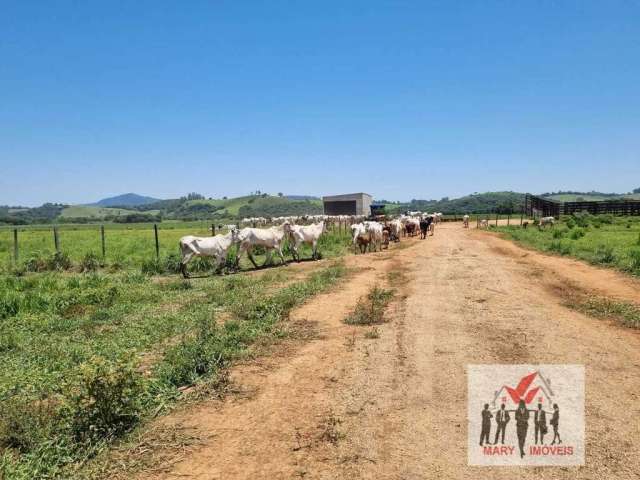 Fazenda à venda em Pouso Alegre/MG