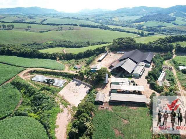 Fazenda à venda no bairro Centro - São Lourenço/MG