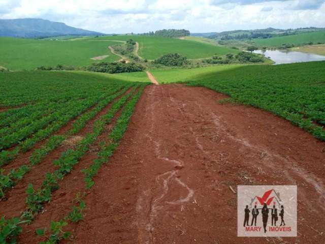 Fazenda à venda no bairro Centro - Minduri/MG